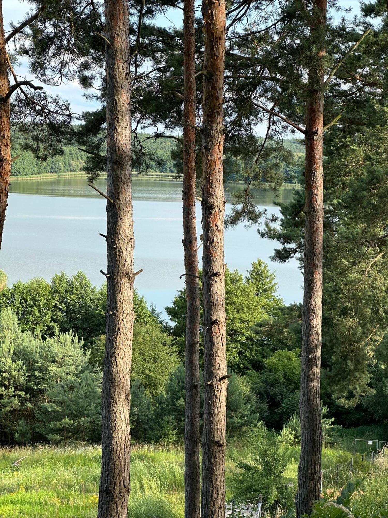 Brzezina Resort - Wille Żnin Εξωτερικό φωτογραφία